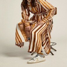 goldengoose banner 11